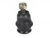 Ball Joint:54530-02000