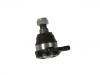 Joint de suspension Ball Joint:54554-44001